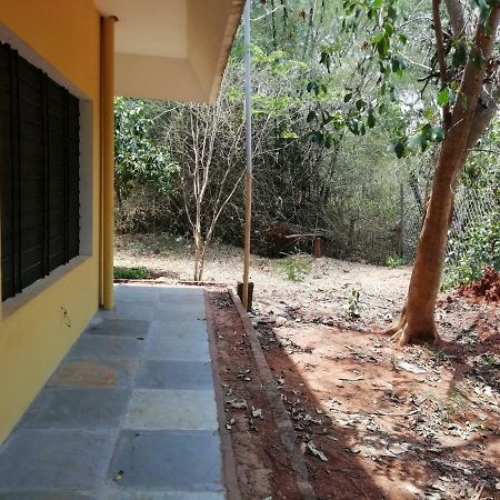 Purity Guest House Auroville Exterior foto
