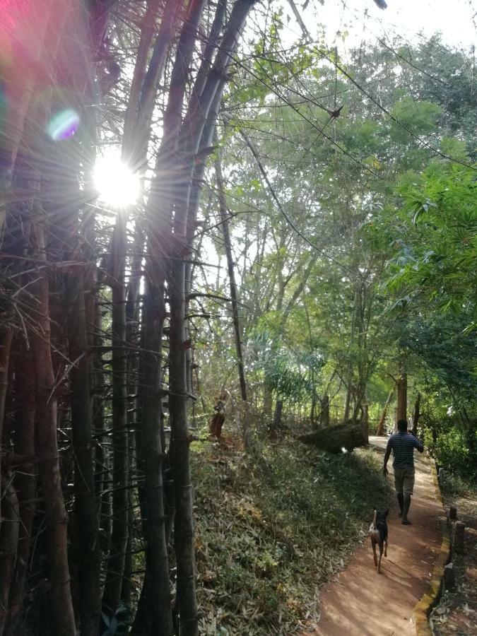 Purity Guest House Auroville Exterior foto